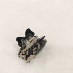Clutcher - Image 3
